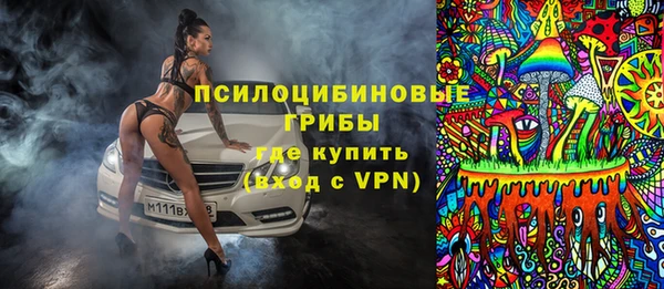 ALPHA-PVP Гусев