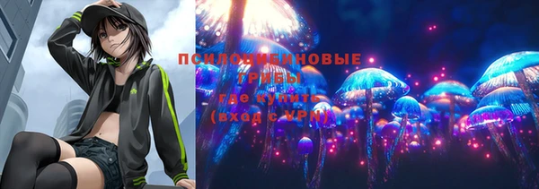 дмт Гусь-Хрустальный