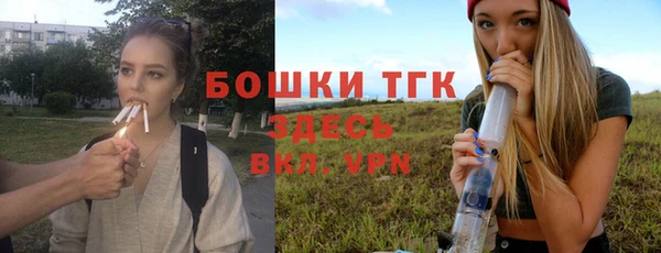 дмт Гусь-Хрустальный