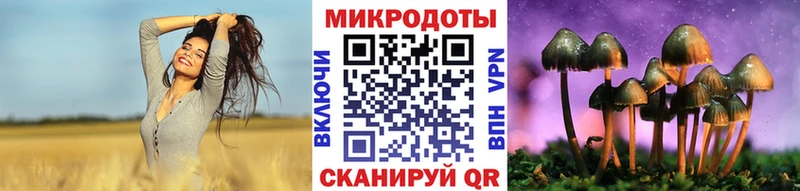 Галлюциногенные грибы Psilocybine cubensis  Купить где  Пересвет 